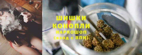 прущие крисы Богданович