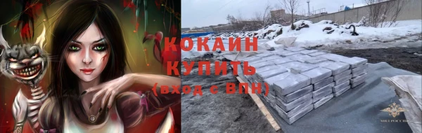прущий лед Богородицк